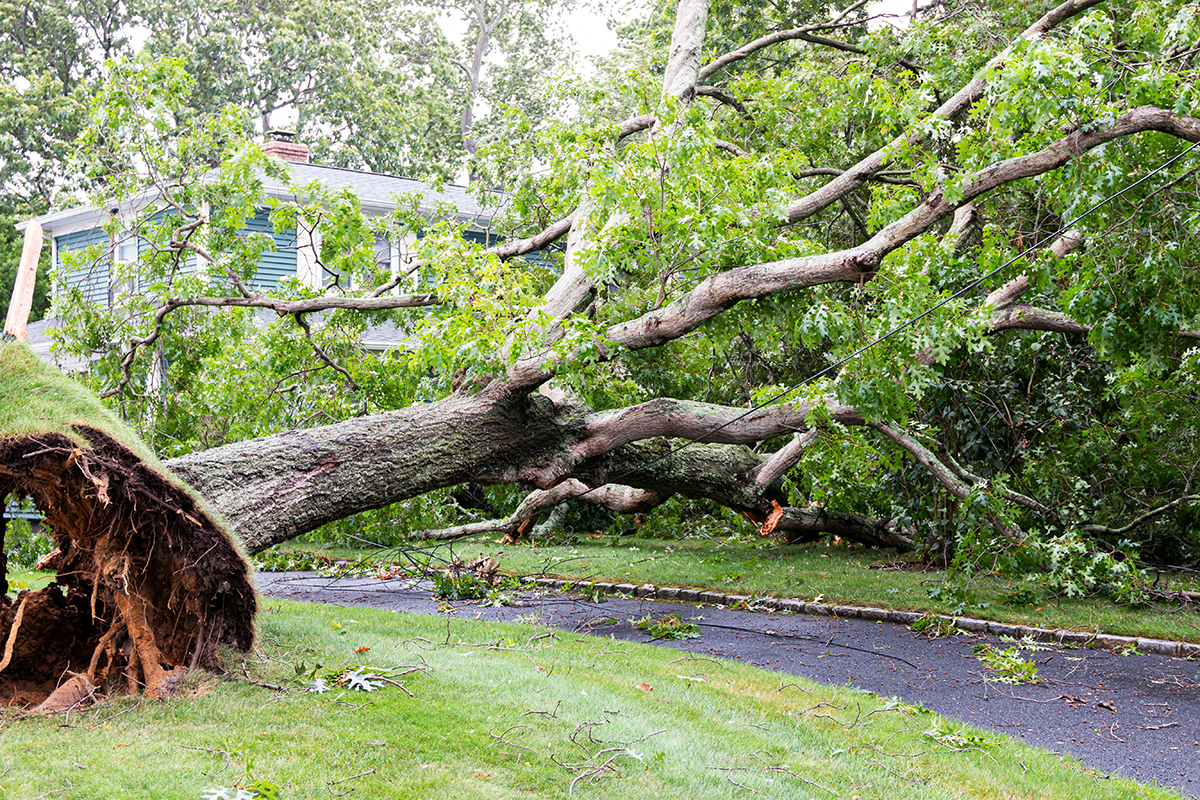 Storm Damage Repair